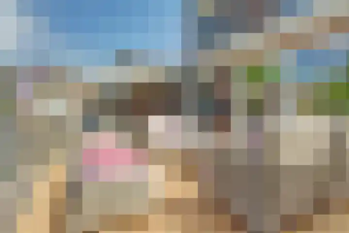 Achtergaardsestraat 6 Groessen thumbnail 24