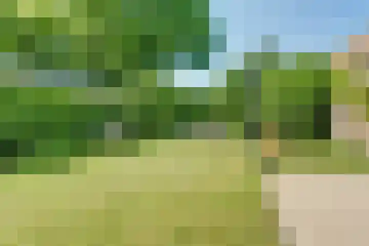 Achtergaardsestraat 6 Groessen thumbnail 25
