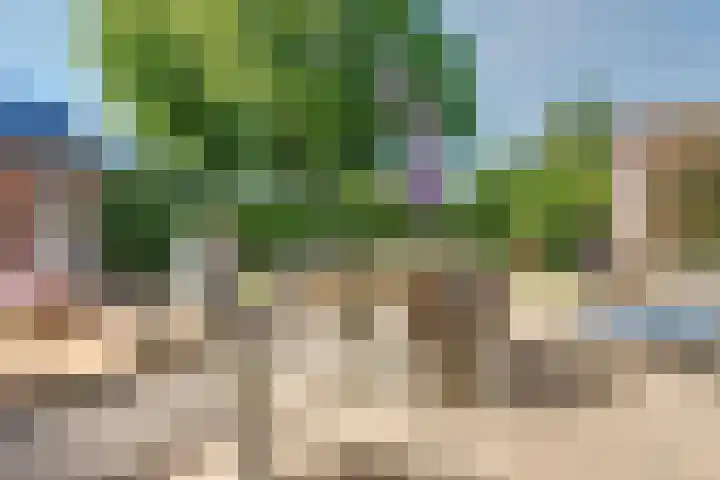 Achtergaardsestraat 6 Groessen thumbnail 29