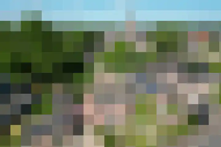 Achtergaardsestraat 6 Groessen thumbnail 31