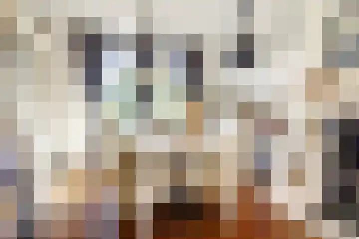 Achtergaardsestraat 6 Groessen thumbnail 7