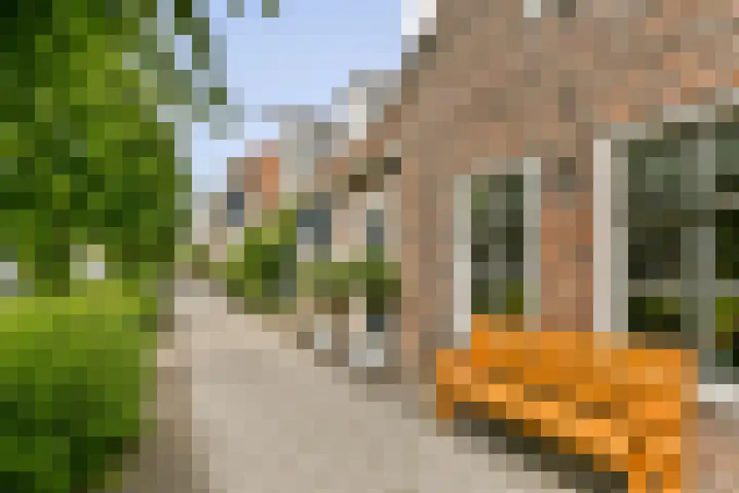 Achtergracht 103 Weesp foto 2