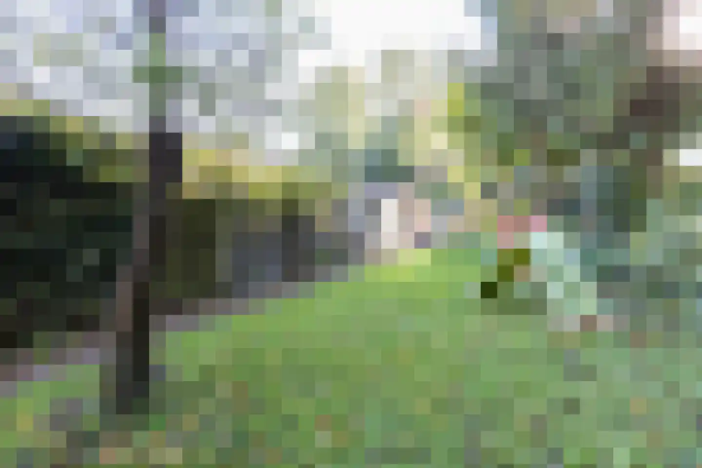 Achtergracht 144 Weesp thumbnail 39
