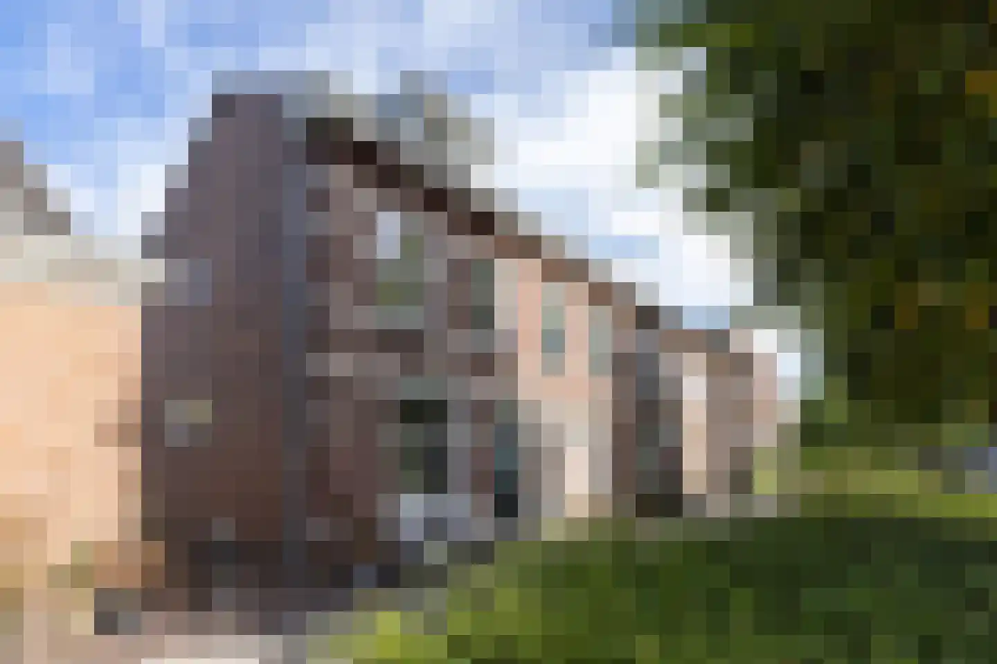 Achtergracht 33 Weesp thumbnail 28