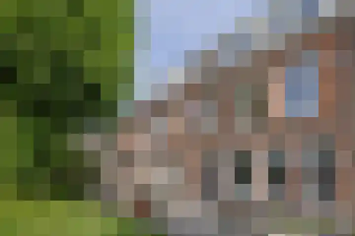 Achtergracht 53 Weesp thumbnail 17