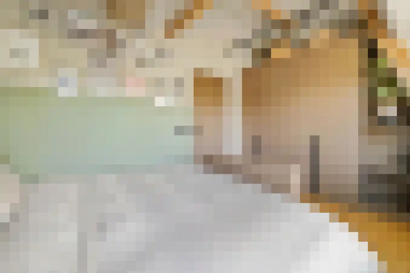 Achtergracht 86 b Weesp thumbnail 31