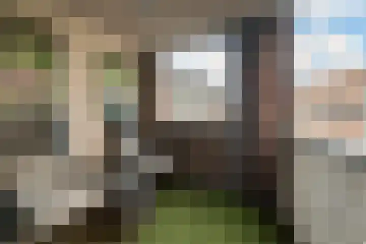 Achterhakkers 119 Dordrecht thumbnail 19