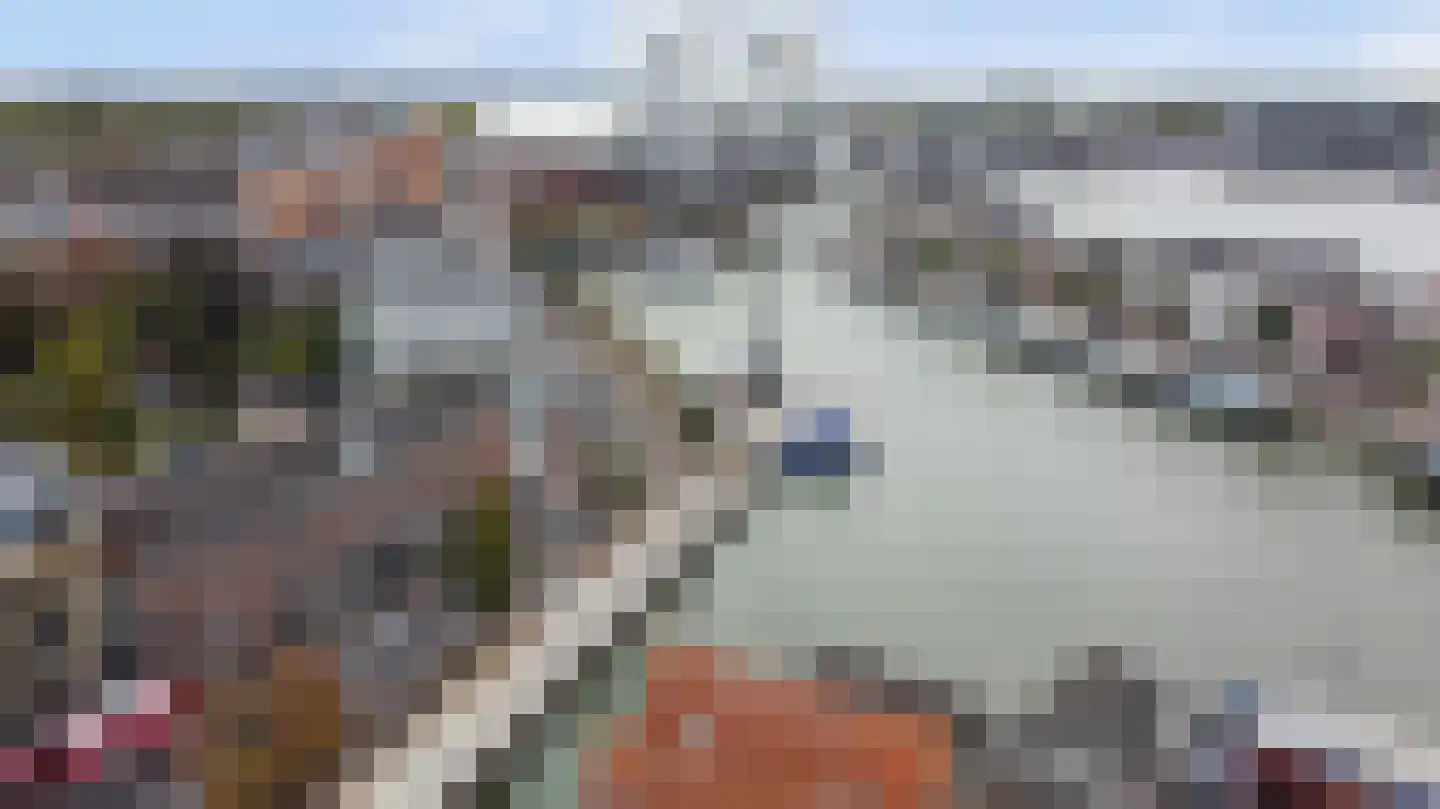 Achterhakkers 17 Dordrecht thumbnail 56