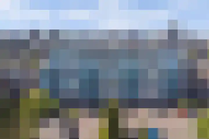Achterhakkers 39 Dordrecht thumbnail 29