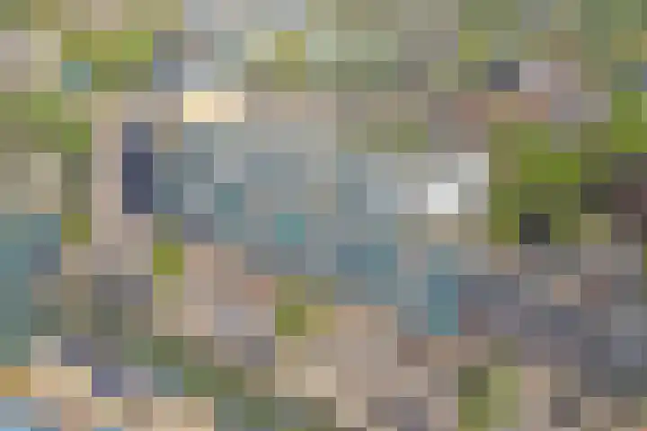 Achterhakkers 39 Dordrecht thumbnail 33