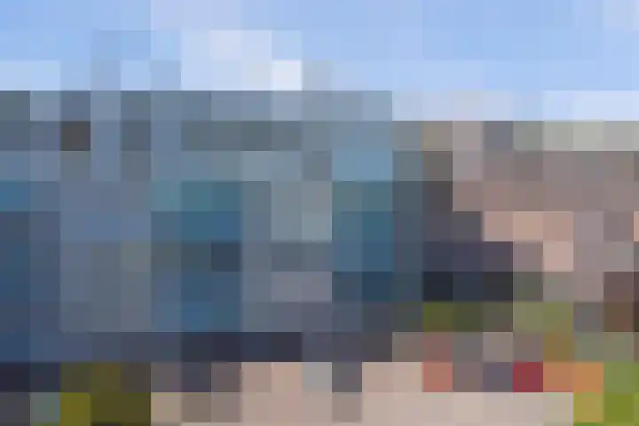 Achterhakkers 39 Dordrecht thumbnail 34