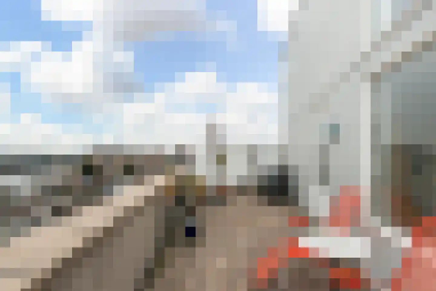 Achterhakkers 53 Dordrecht thumbnail 39
