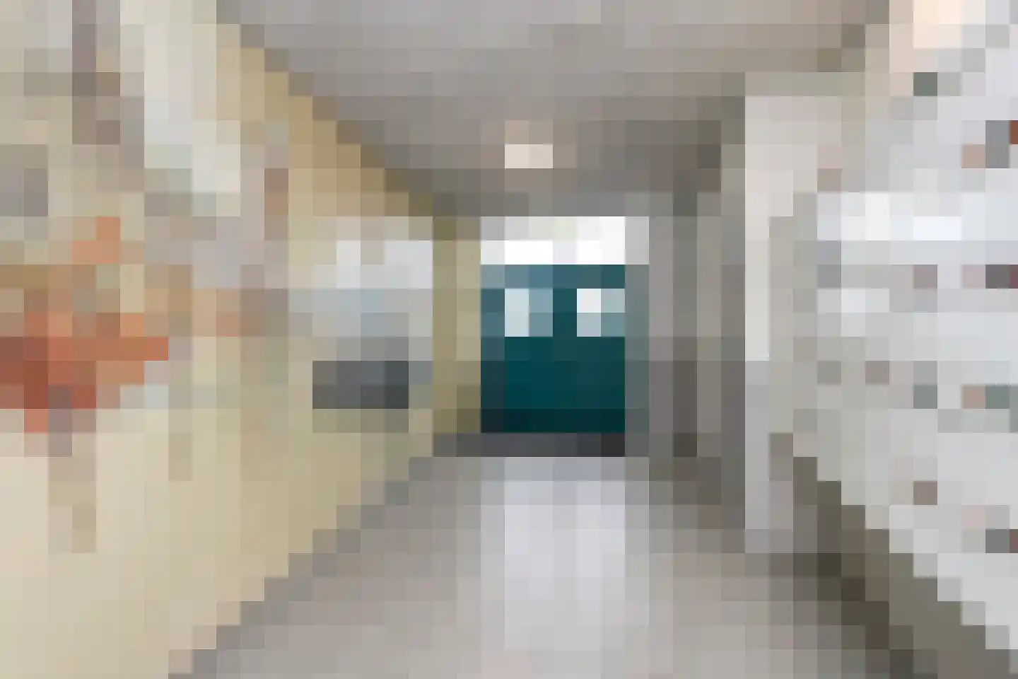 Achterhakkers 53 Dordrecht thumbnail 7
