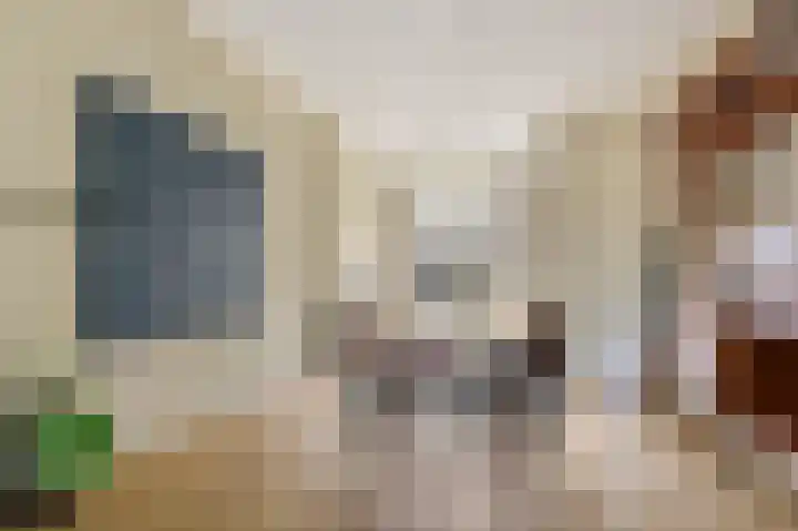 Achterhakkers 69 Dordrecht thumbnail 6