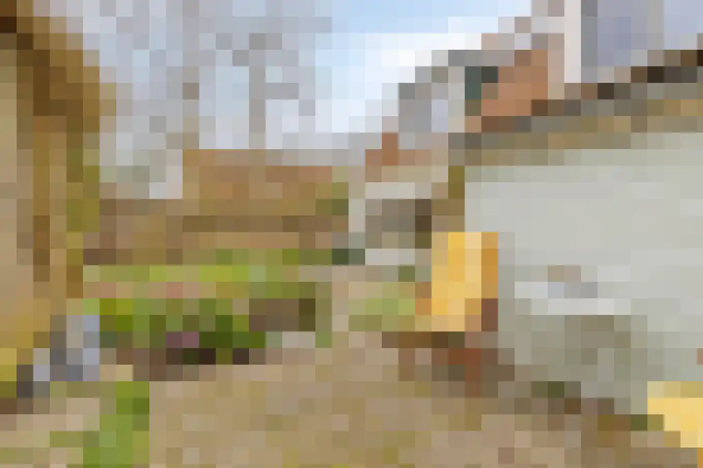 Achterhaven 11 Edam thumbnail 50