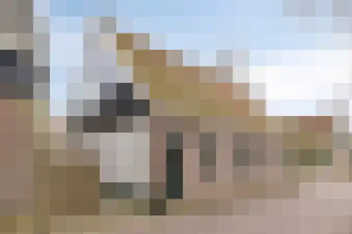 Achterhaven 11 Edam thumbnail 52