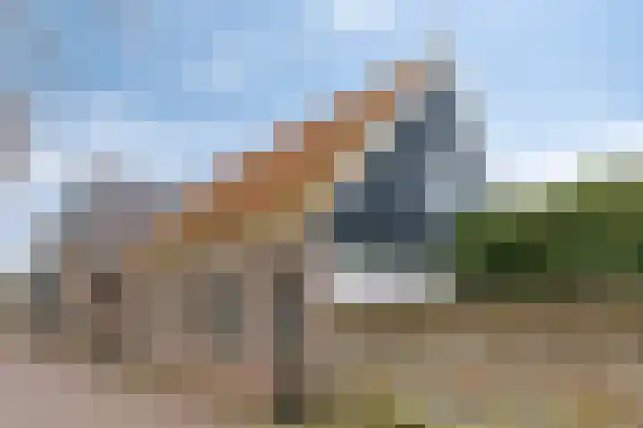 Achterhaven 11 Edam thumbnail 54