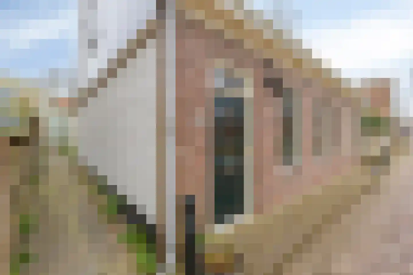 Achterhaven 11 Edam thumbnail 56