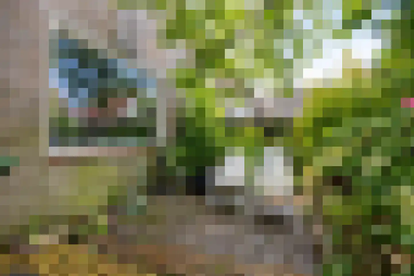 Achterhaven 110 Edam thumbnail 33
