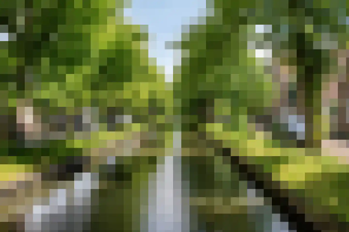 Achterhaven 110 Edam thumbnail 38