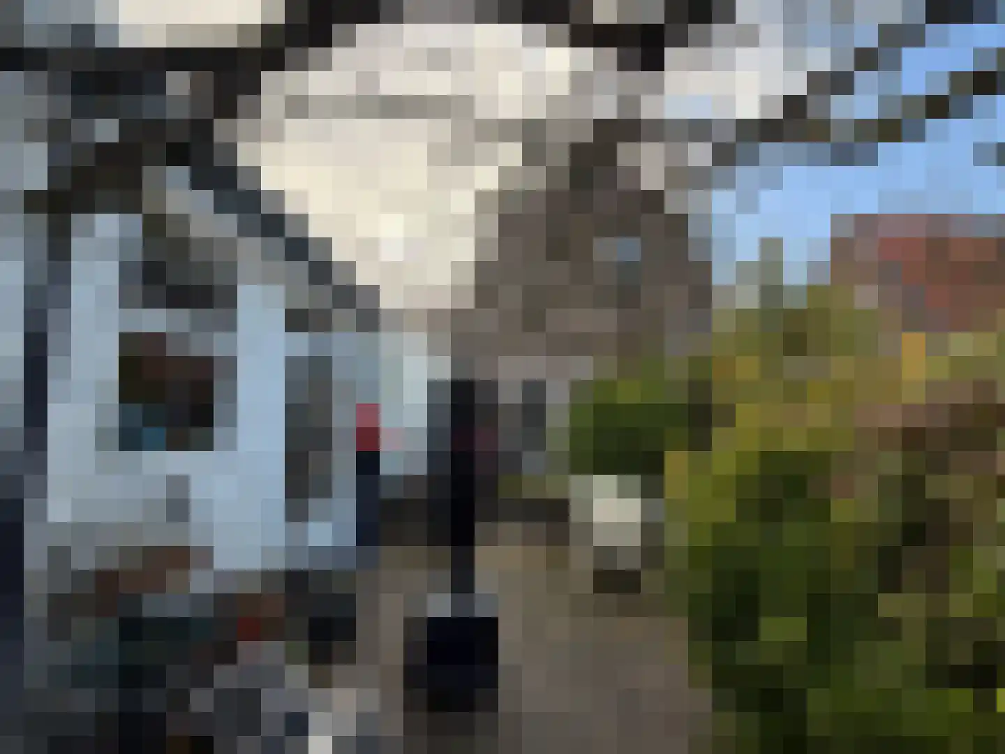Achterhaven 110 Edam thumbnail 39