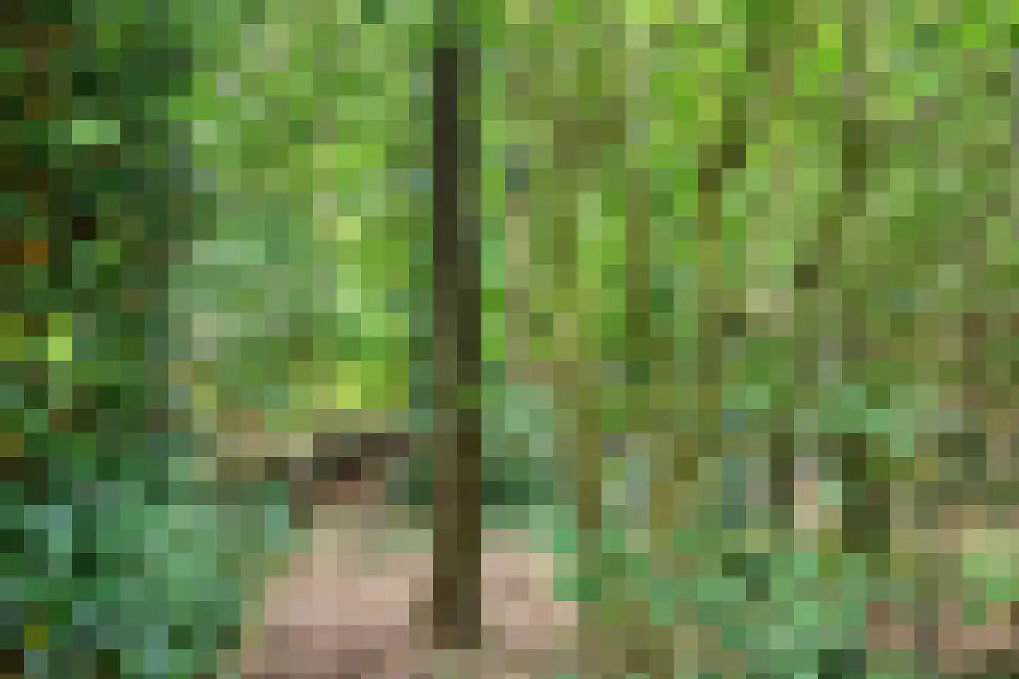 Achterhaven 32 Schipborg thumbnail 4
