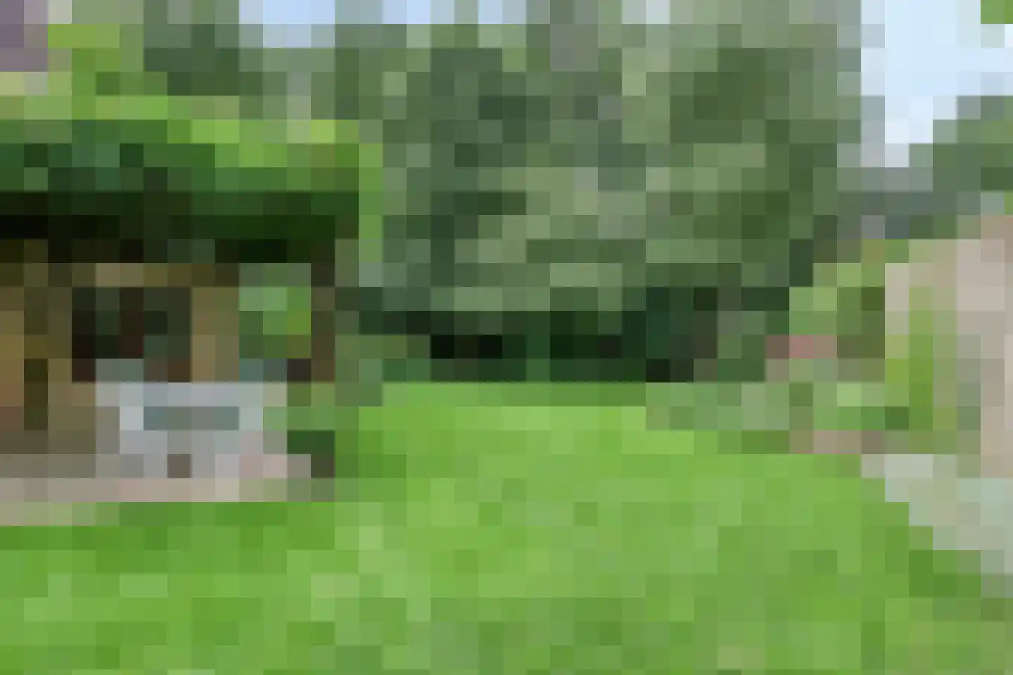 Achterhaven 32 Schipborg thumbnail 52