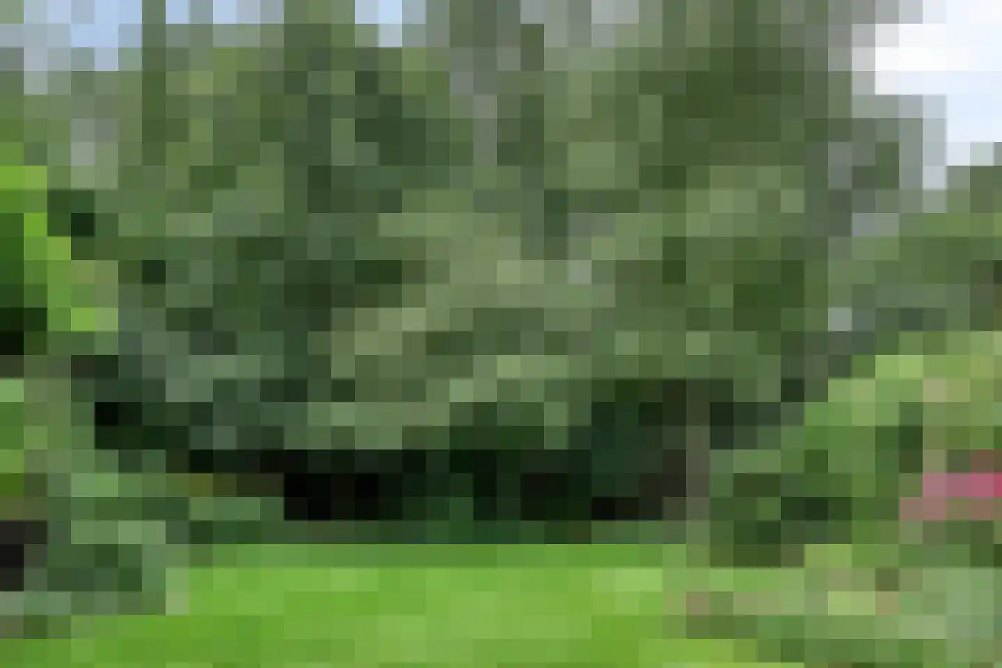 Achterhaven 32 Schipborg thumbnail 55