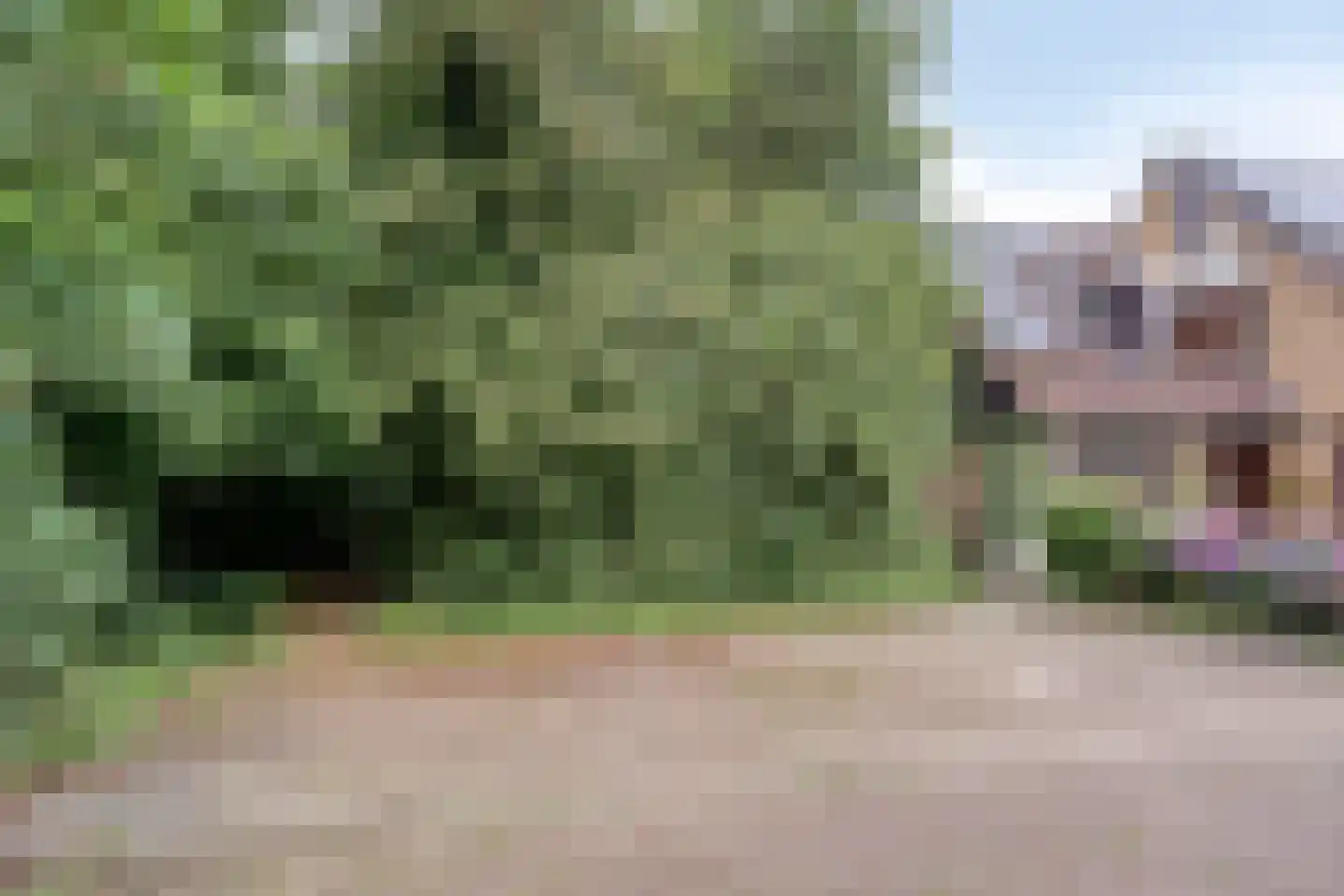 Achterhaven 32 Schipborg thumbnail 57
