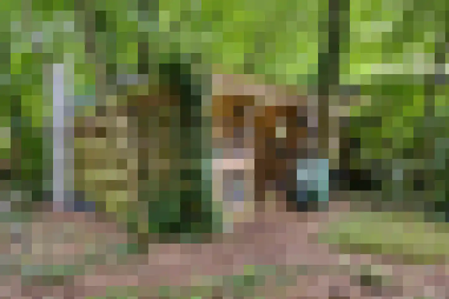 Achterhaven 32 Schipborg thumbnail 59