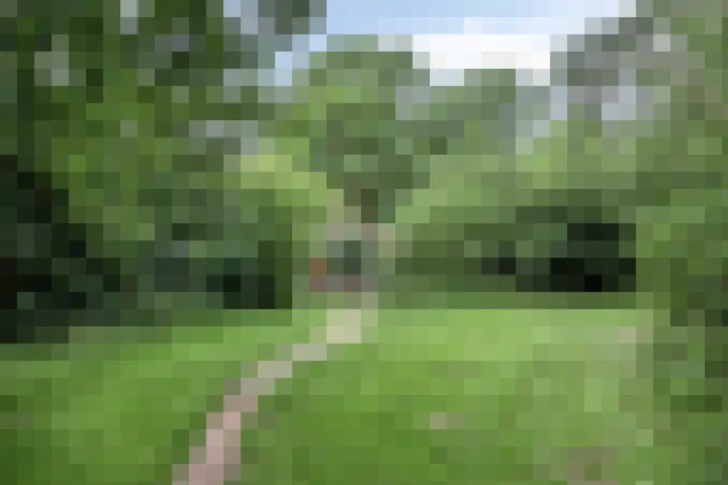 Achterhaven 32 Schipborg thumbnail 62