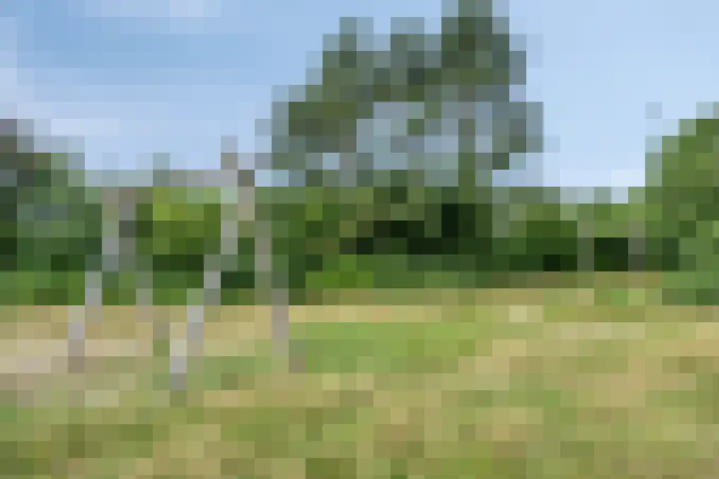 Achterhaven 32 Schipborg thumbnail 63