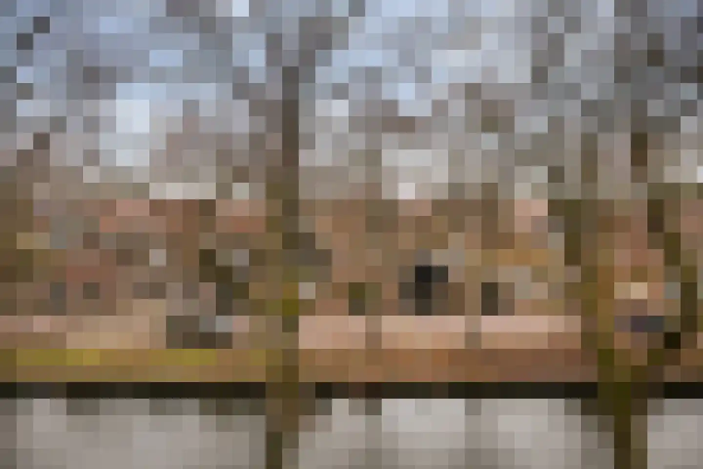 Achterhaven 65 d Edam thumbnail 33