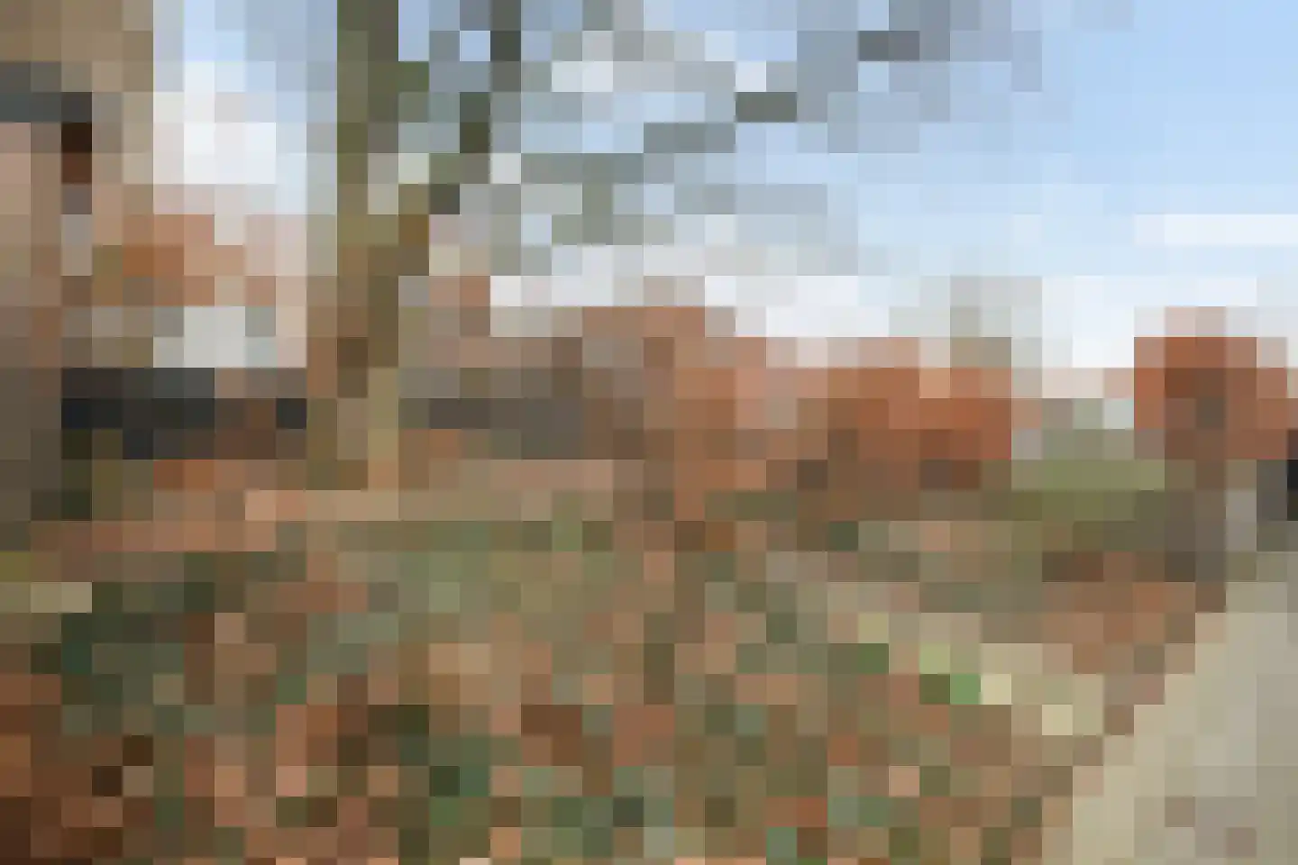 Achterhaven 65 d Edam thumbnail 45
