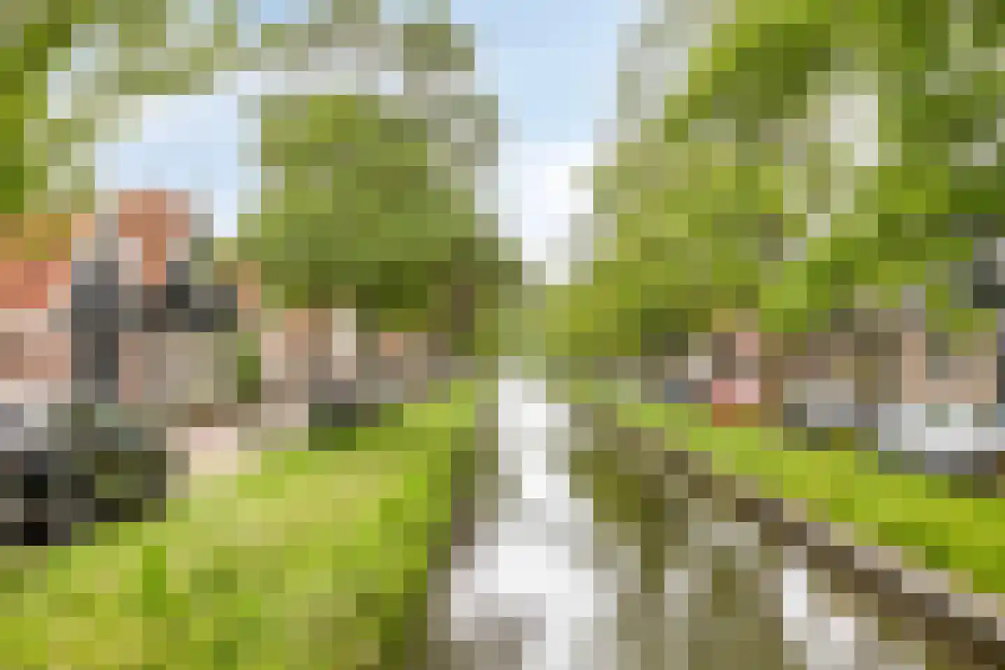 Achterhaven 93 Edam thumbnail 51