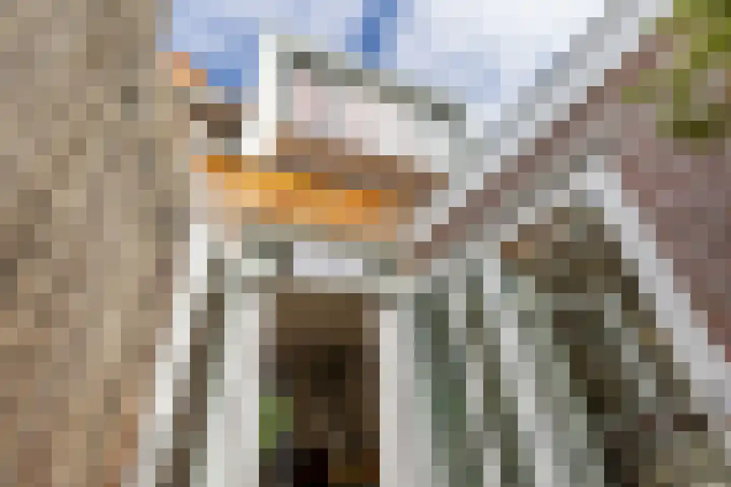 Achterherengracht 11 Weesp thumbnail 17