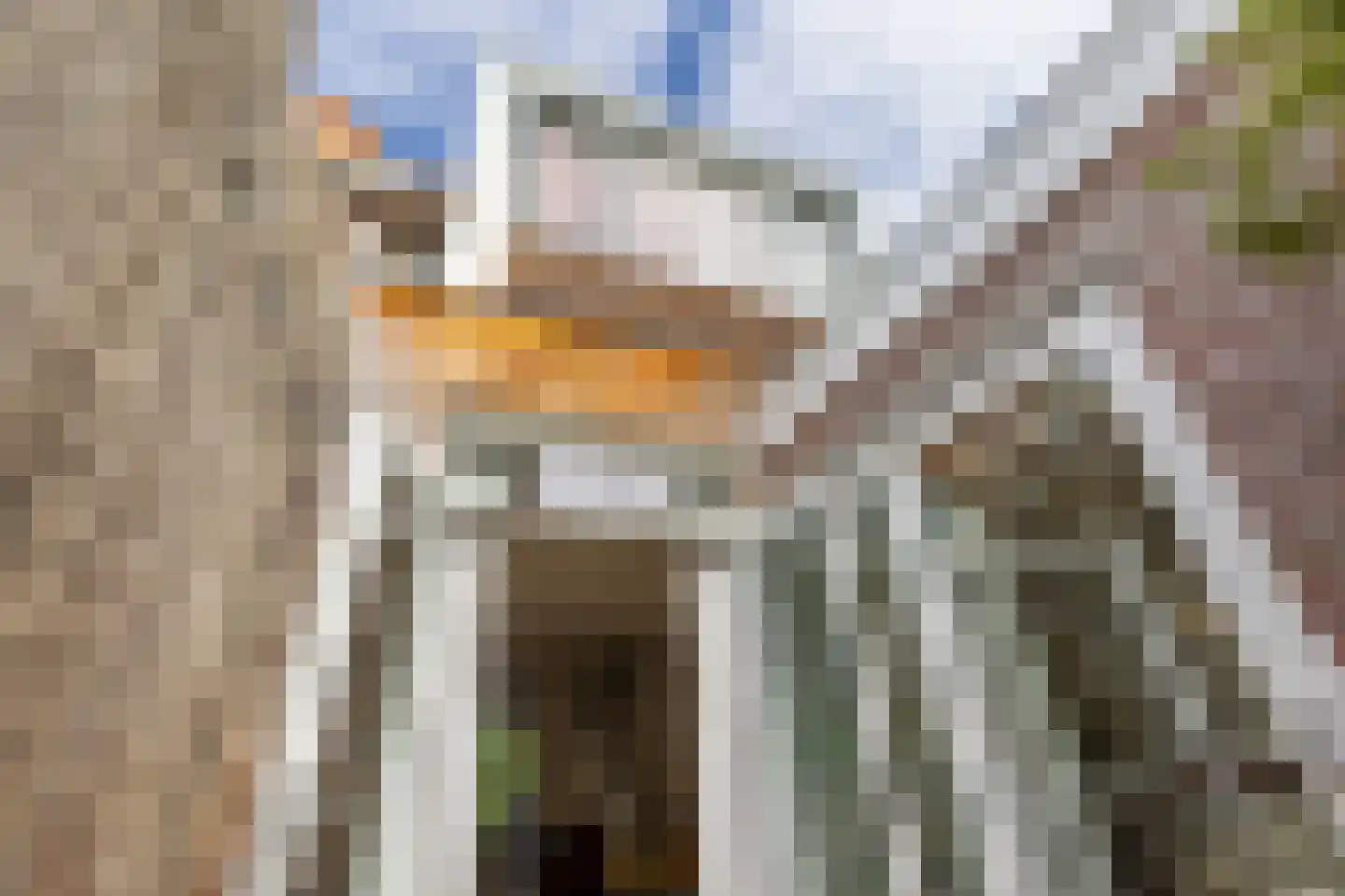 Achterherengracht 11 Weesp thumbnail 24
