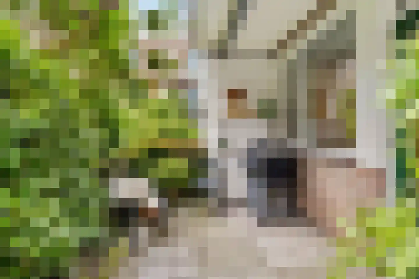 Achterherengracht 17 Weesp thumbnail 16