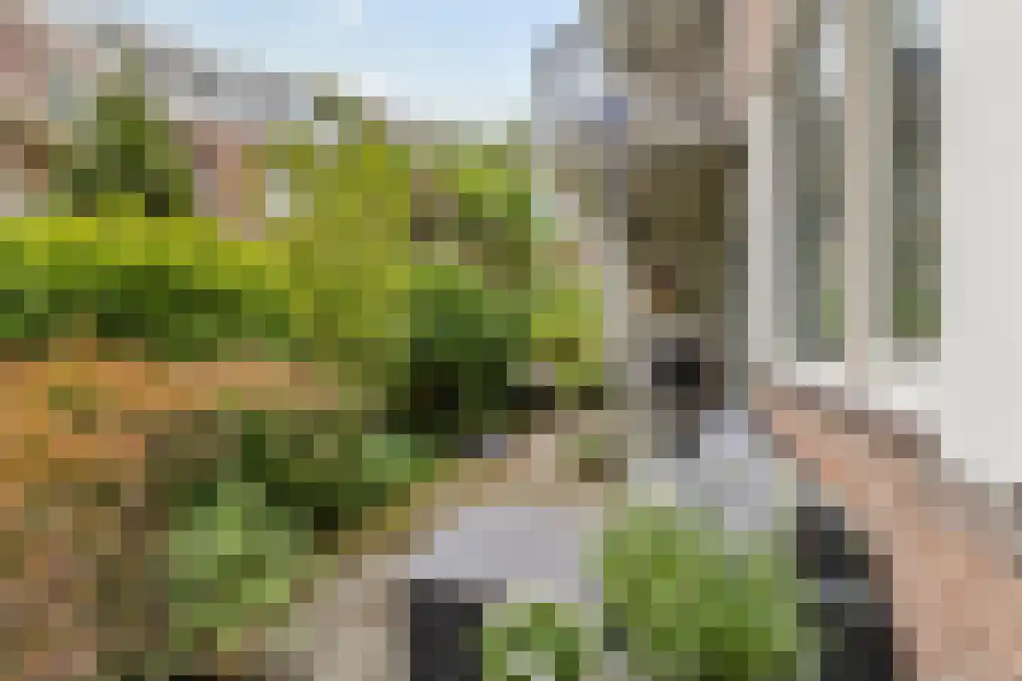 Achterherengracht 17 Weesp thumbnail 4