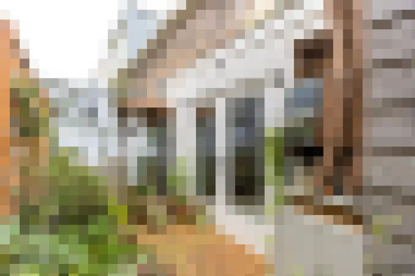Achterherengracht 5 Weesp thumbnail 14