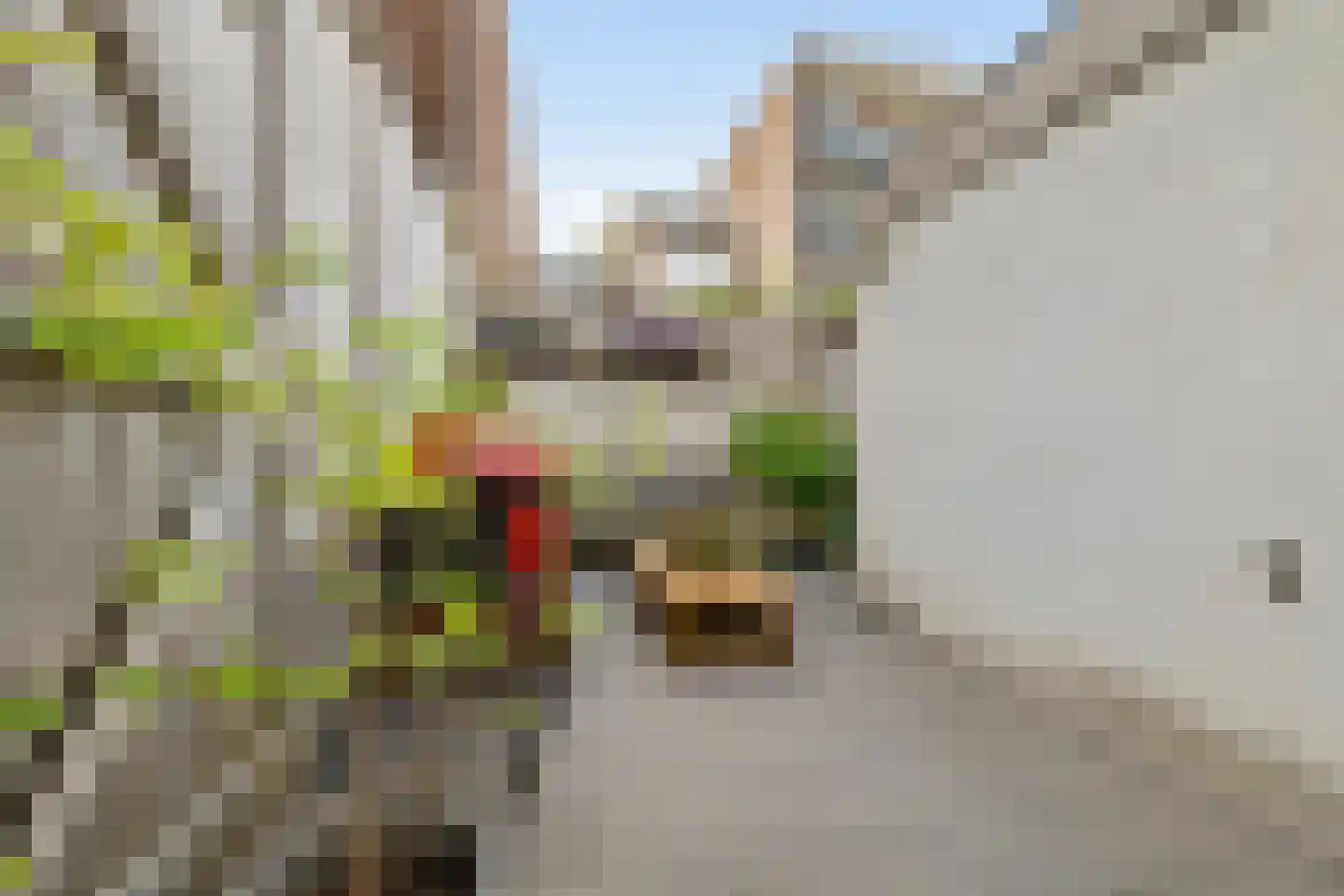 Achterherengracht 7 Weesp thumbnail 19