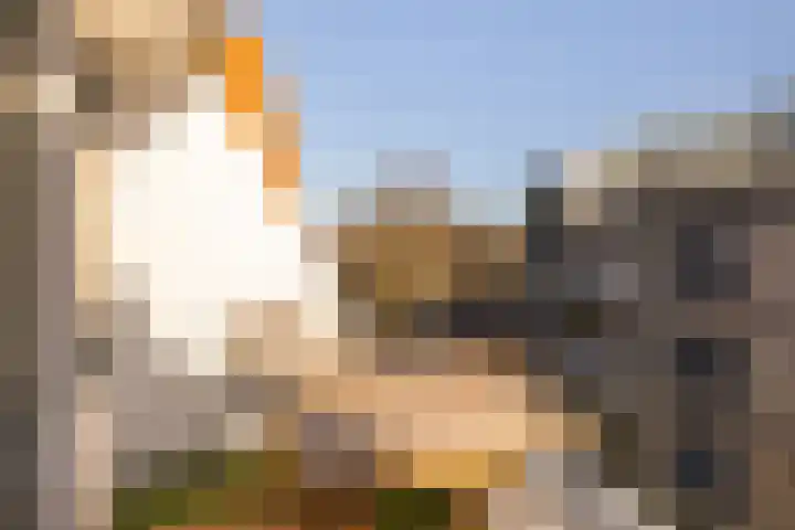 Achterheuvel 97 Zeist thumbnail 28