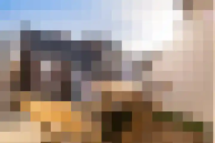Achterheuvel 97 Zeist thumbnail 29