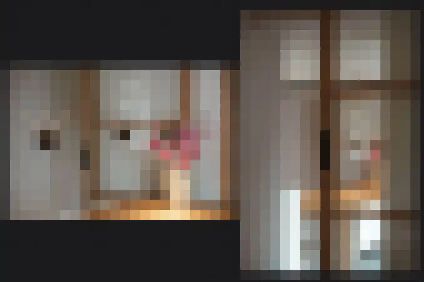 Achterhoek 6 Rossum thumbnail 14