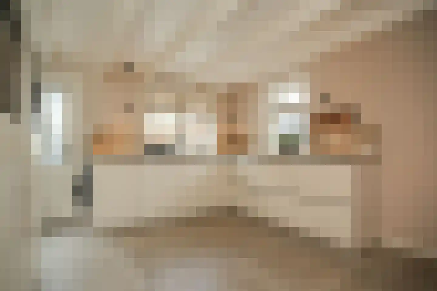 Achterhoek 6 Rossum thumbnail 17