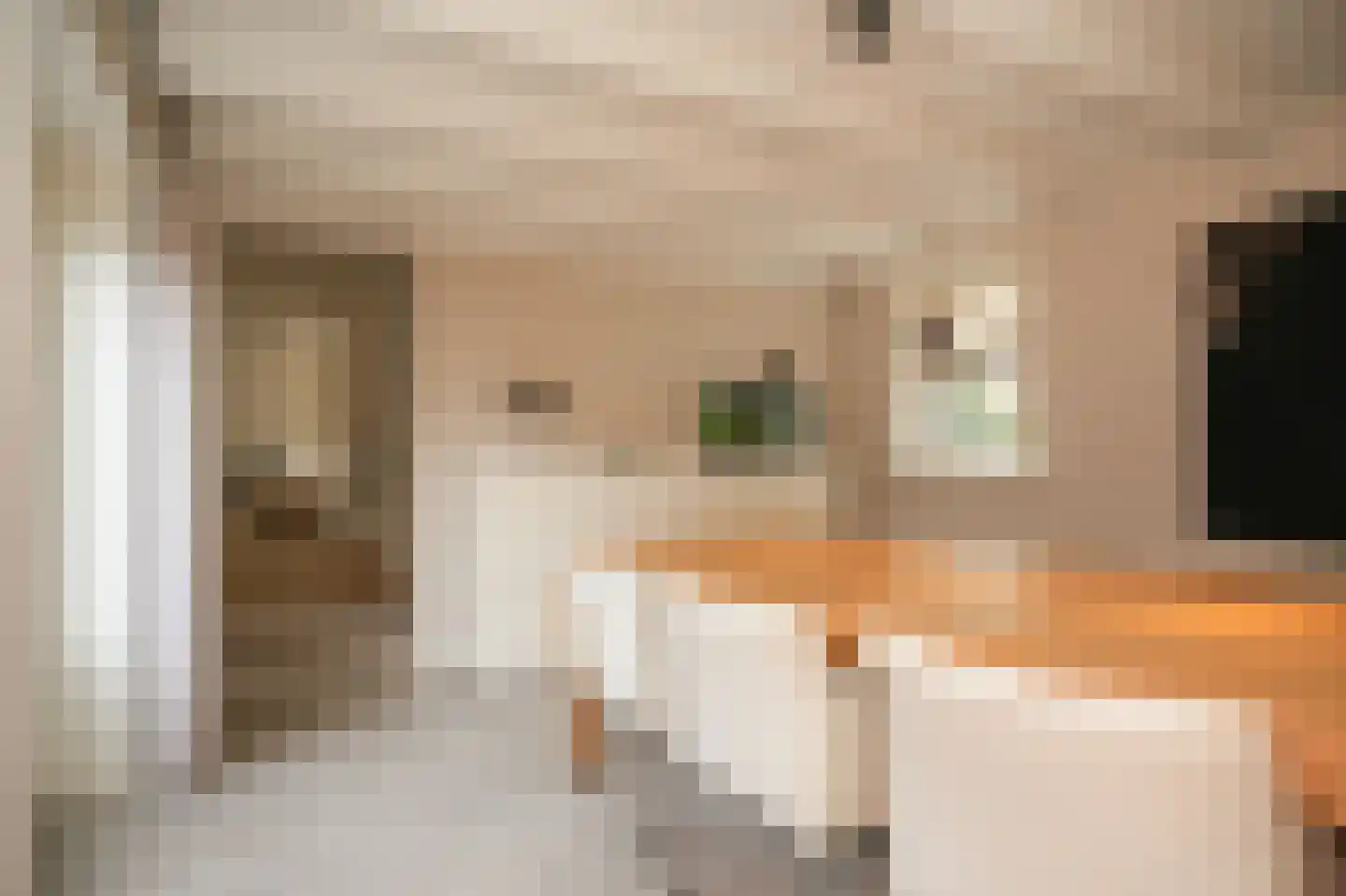 Achterhoek 6 Rossum thumbnail 19
