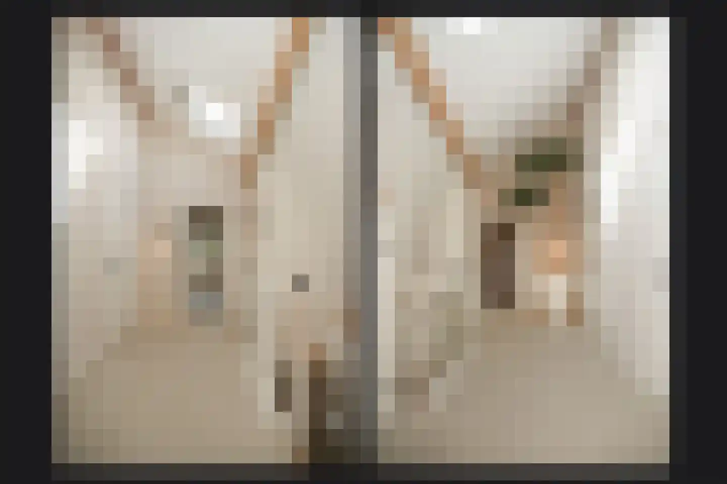 Achterhoek 6 Rossum thumbnail 24