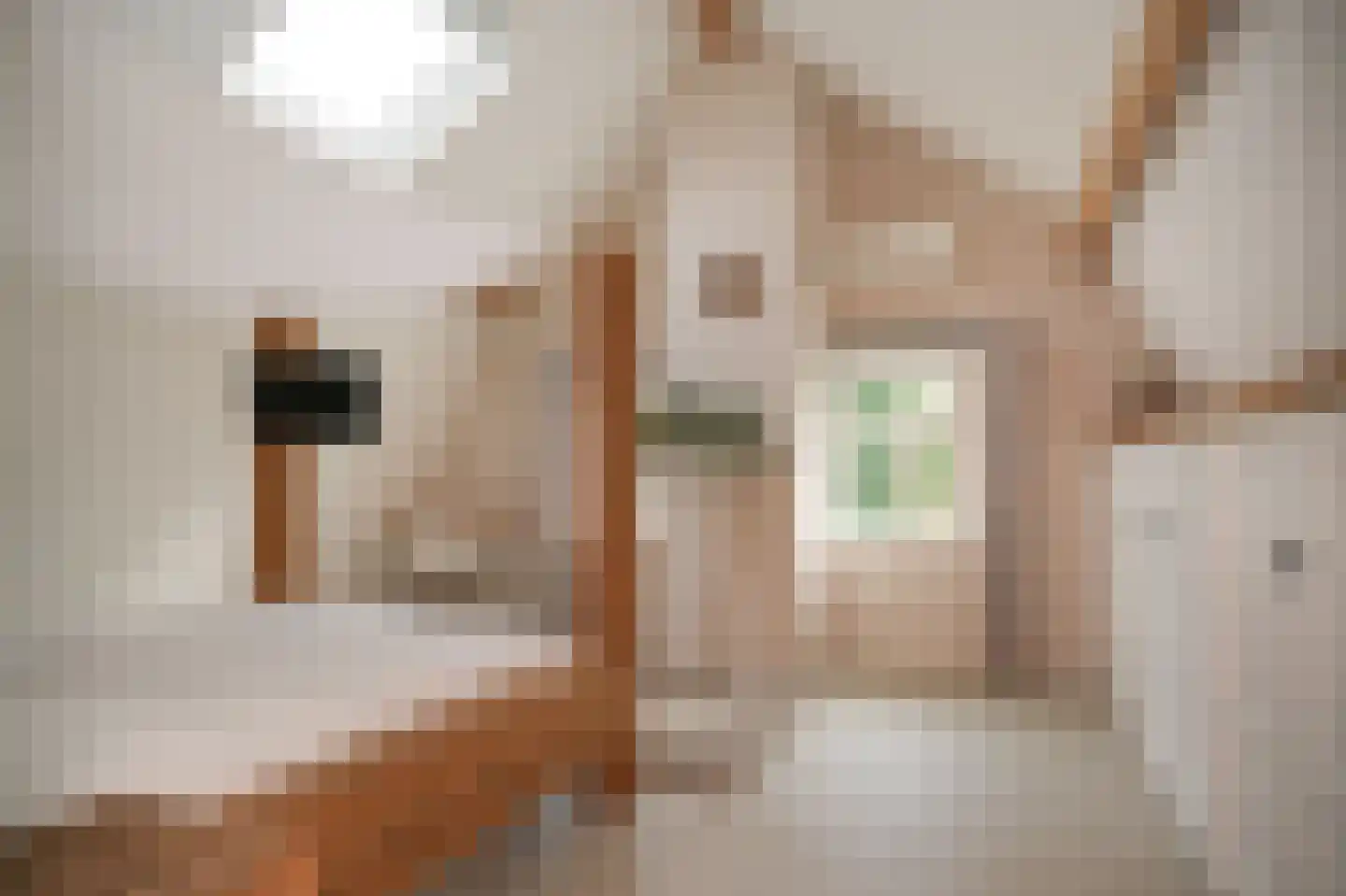 Achterhoek 6 Rossum thumbnail 25