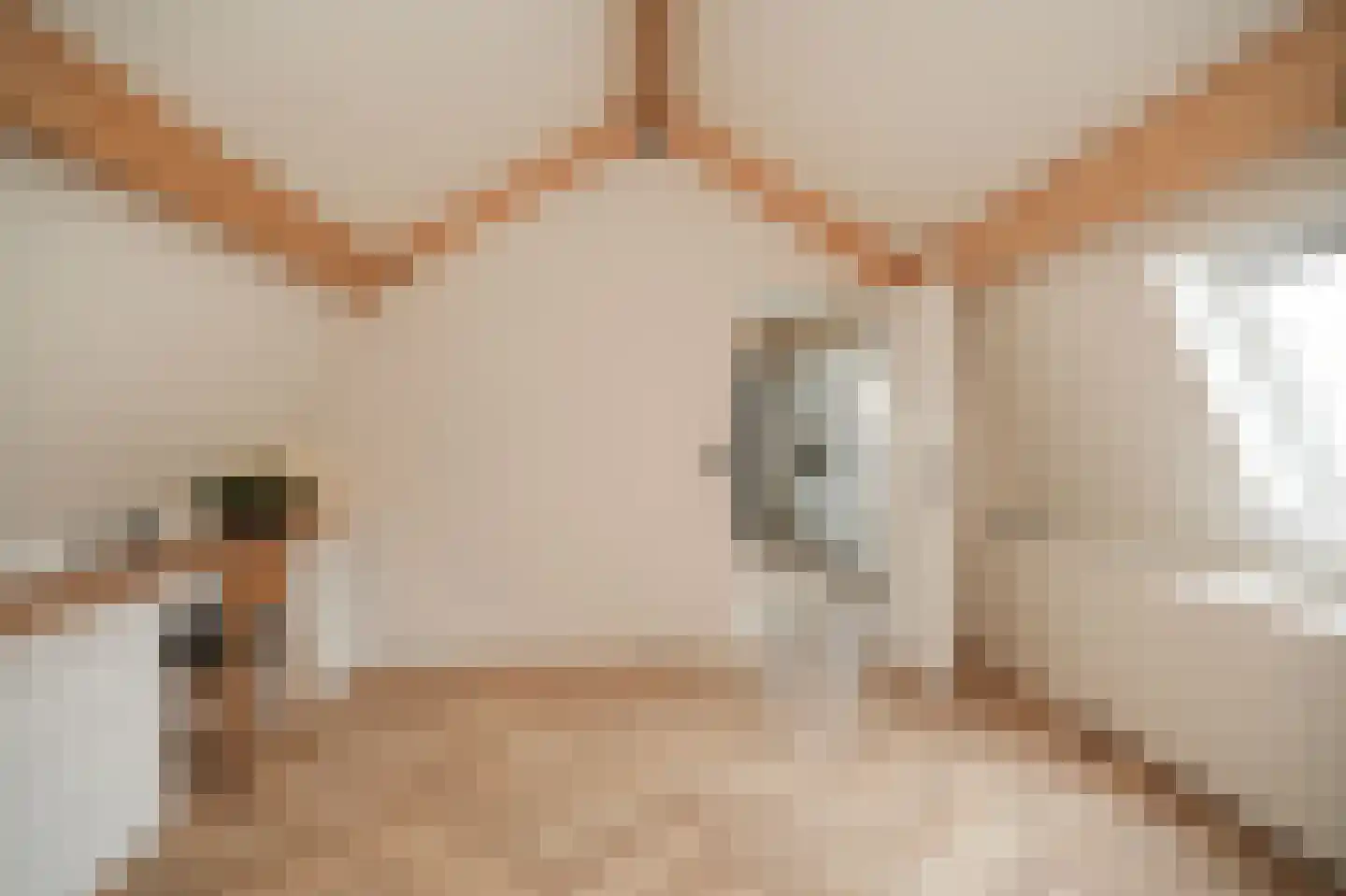 Achterhoek 6 Rossum thumbnail 30
