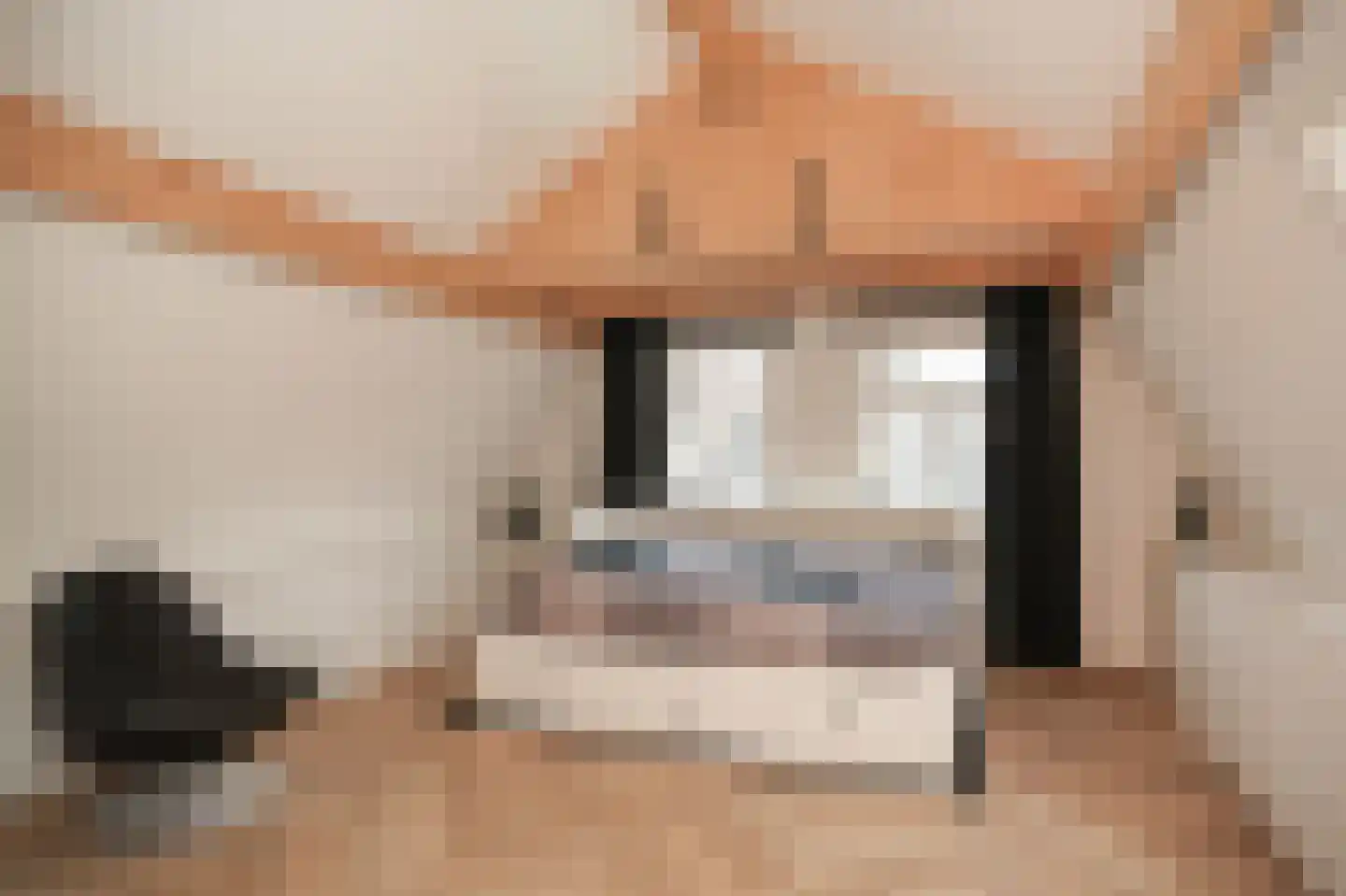 Achterhoek 6 Rossum thumbnail 31